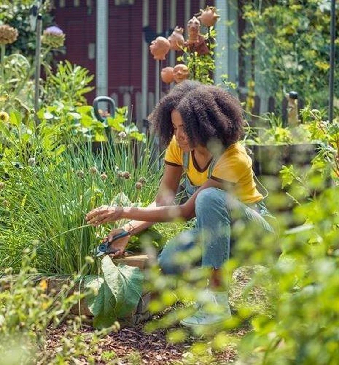 GARDENA - ExpertCut - Snoeischaar - 22 Diameter Tak - Afbeelding 14