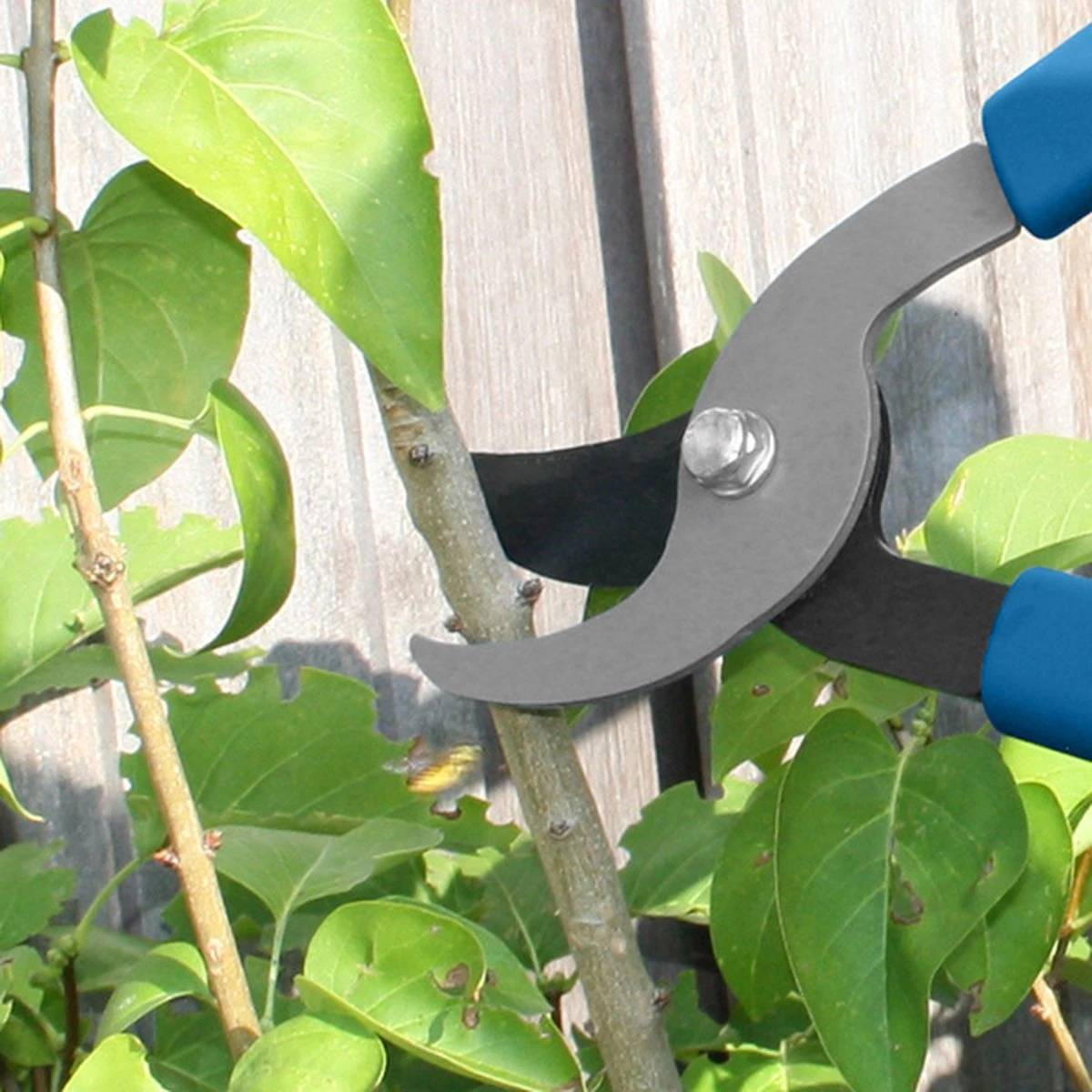 Hyundai Snoeiset 3-delig - Snoeischaar - Takkenschaar - Heggenschaar - Afbeelding 2