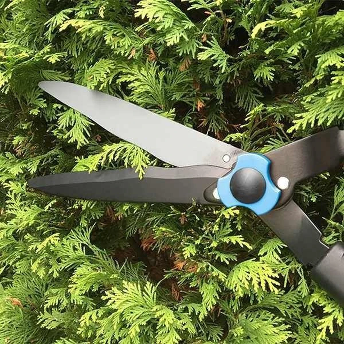 Hyundai Snoeiset 3-delig - Snoeischaar - Takkenschaar - Heggenschaar - Afbeelding 10