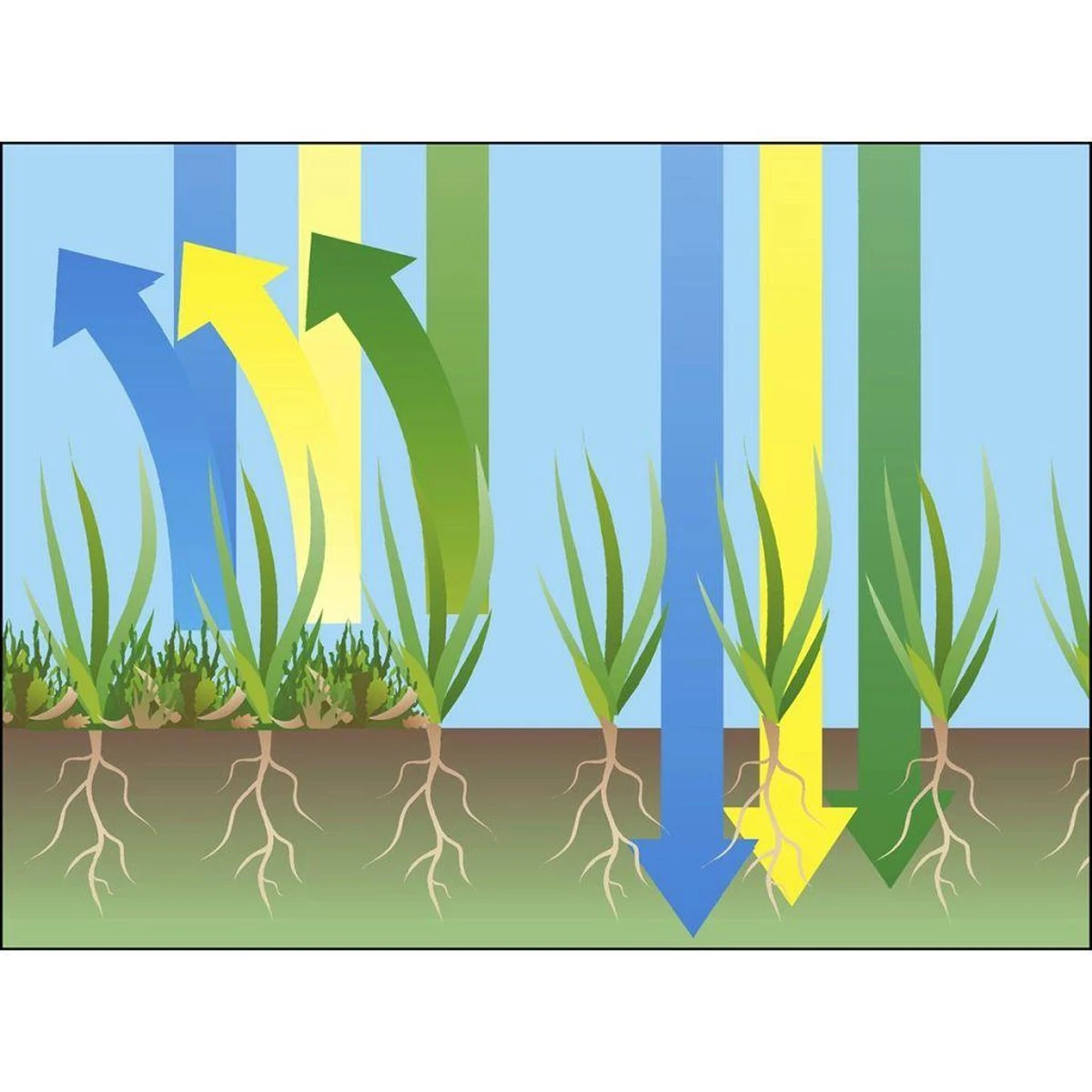 GARDENA EVC 1000 Verticuteermachine - Werkbreedte 30 Cm - Werkgebied 600m2 - Afbeelding 12