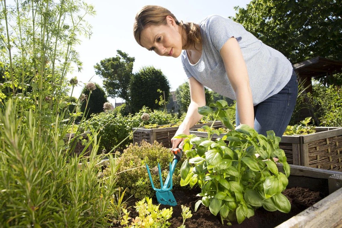 GARDENA Combisystem Tuinhak - Werkbreedte 6,5cm - 25 Jaar Garantie - Afbeelding 7