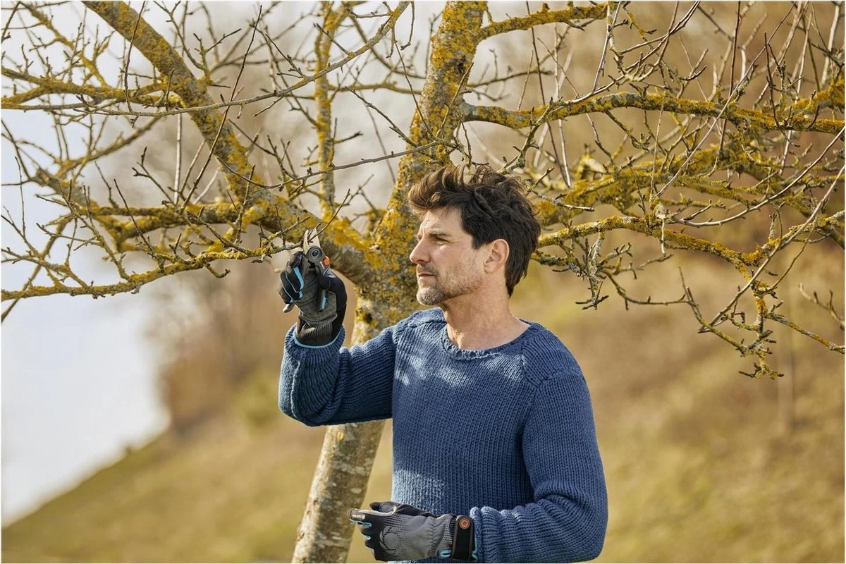 GARDENA - ExpertCut - Snoeischaar - 22 Diameter Tak - Afbeelding 11