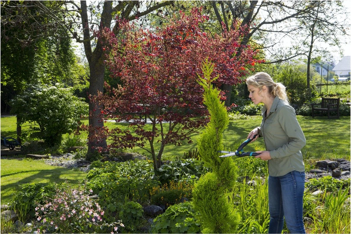 GARDENA PrecisionCut Buxusschaar - Meslengte 18 Cm - Vormsnoeien - Afbeelding 5