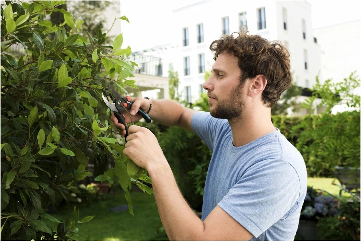 GARDENA - Comfort B/S-XL Bypass - Snoeischaar - Ø 24 Mm - 25 Jaar Garantie - Afbeelding 12