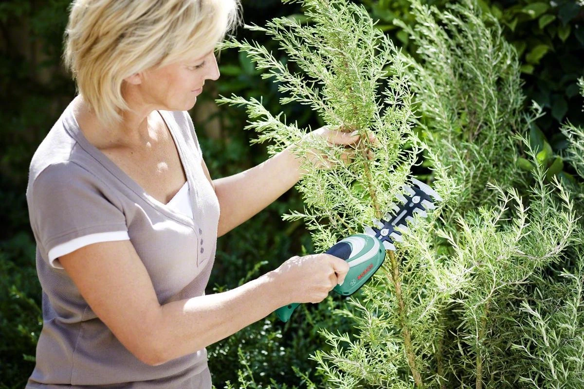 Bosch ISIO Gen III Accu Buxusschaar + Grasschaar - Afbeelding 4