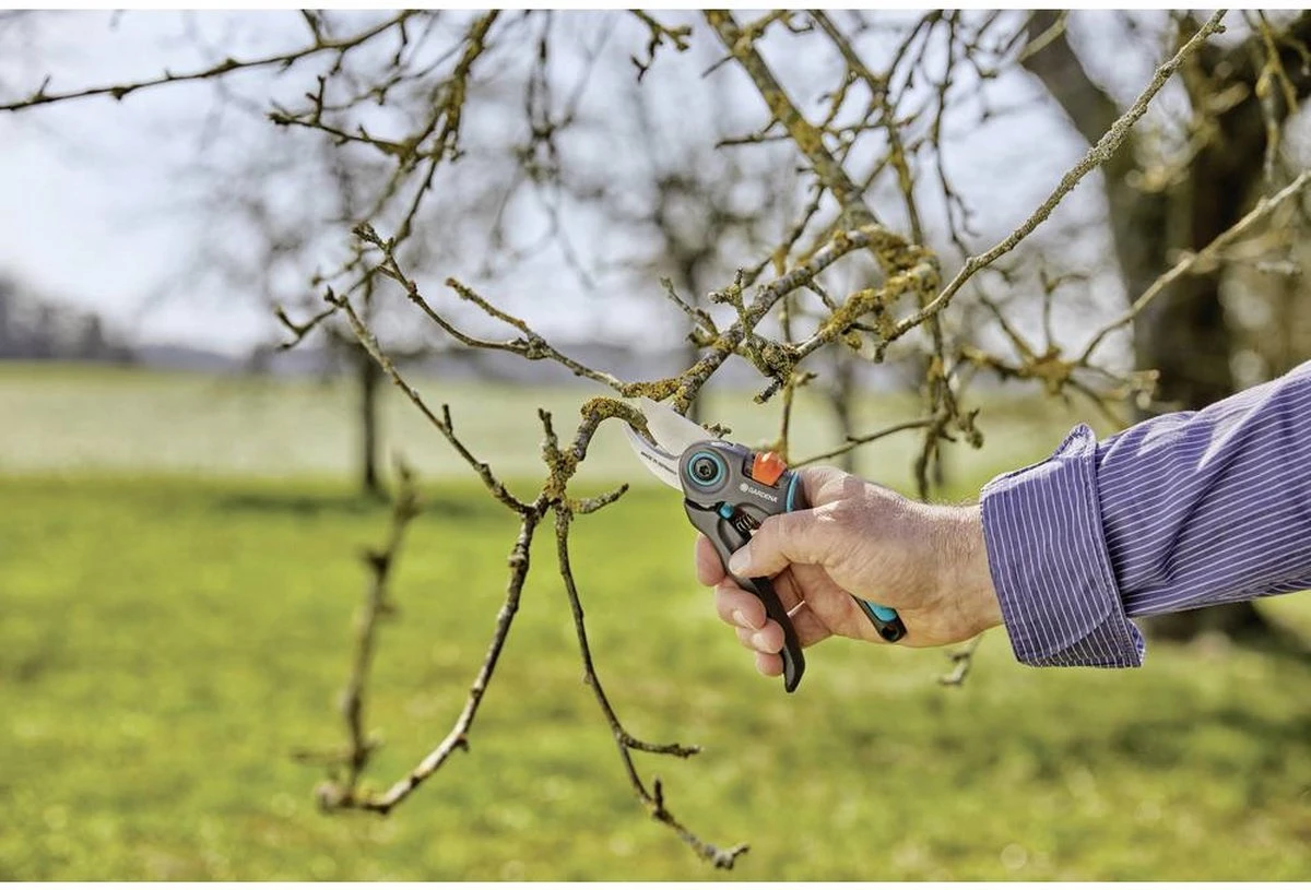 GARDENA - ExpertCut - Snoeischaar - 22 Diameter Tak - Afbeelding 16