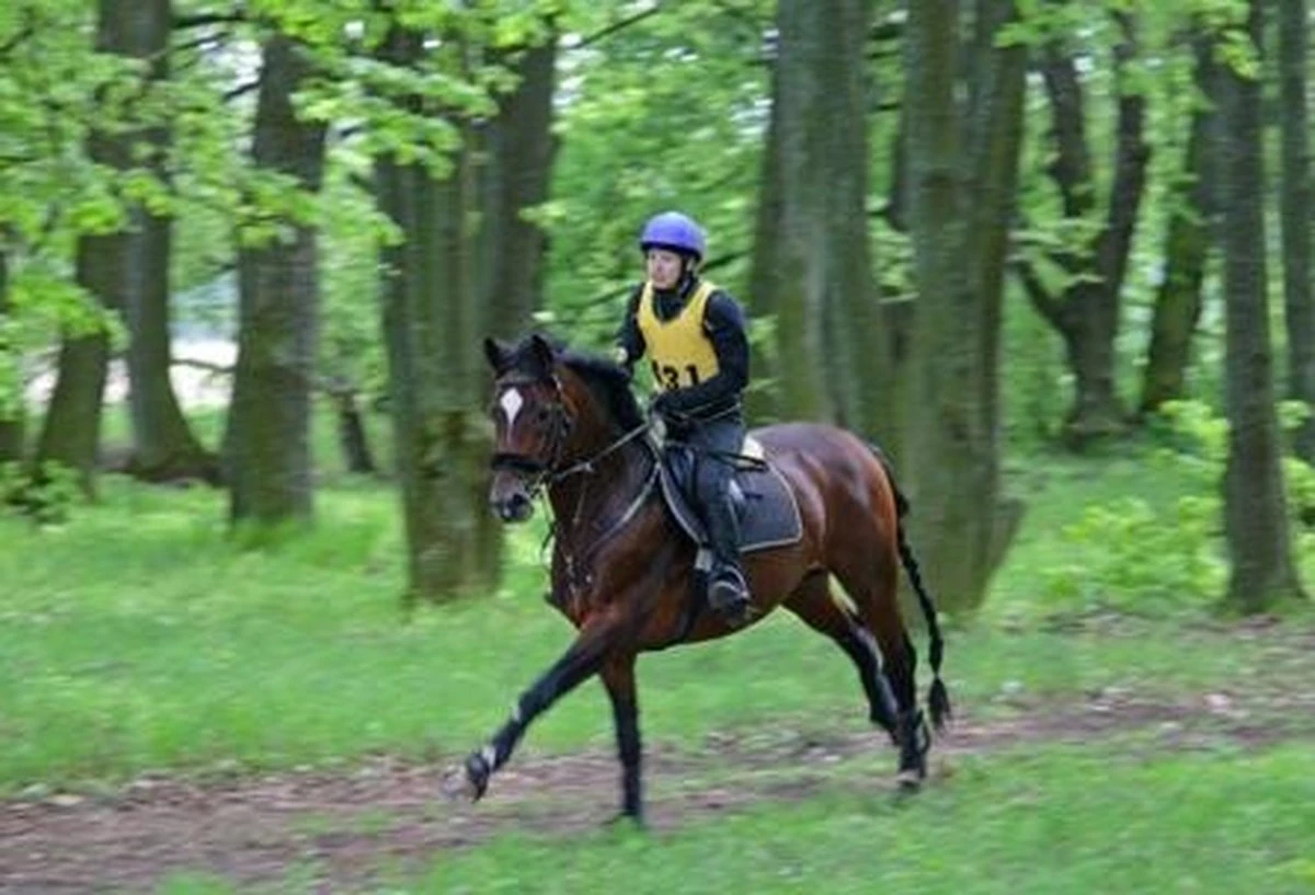 Aqua2Go GD86 Staand Electrische Pressure Washer - 20 Liter Tank - Afneembare Pomp - Afbeelding 20