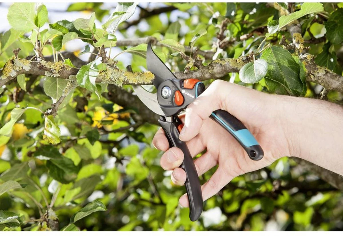 GARDENA - Comfort B/S-XL Bypass - Snoeischaar - Ø 24 Mm - 25 Jaar Garantie - Afbeelding 14