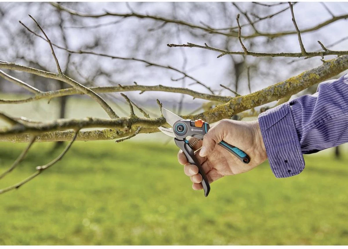 GARDENA - ExpertCut - Snoeischaar - 22 Diameter Tak - Afbeelding 15