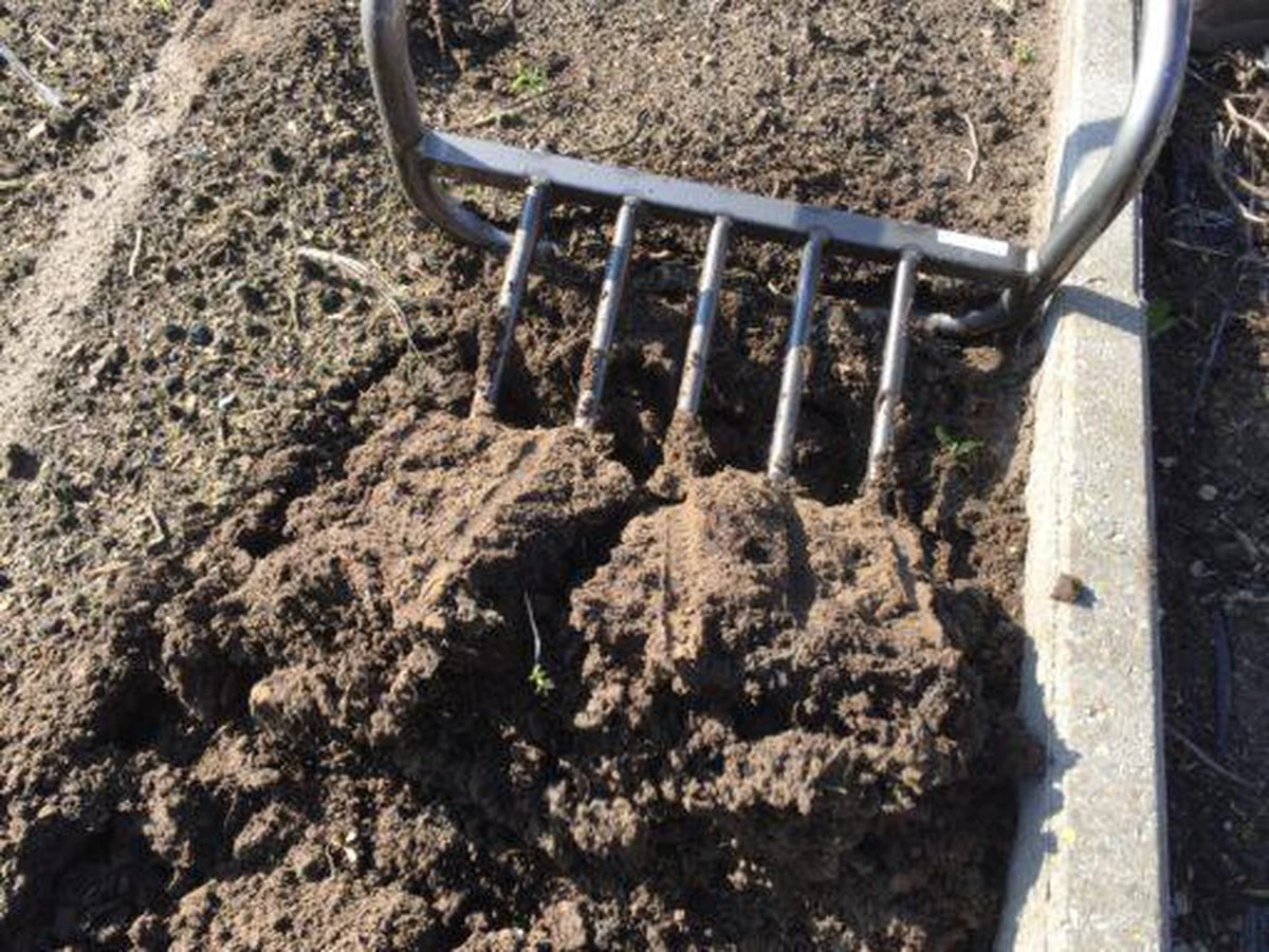 Ergo Woelvork 5 Tanden Depypere - Afbeelding 3