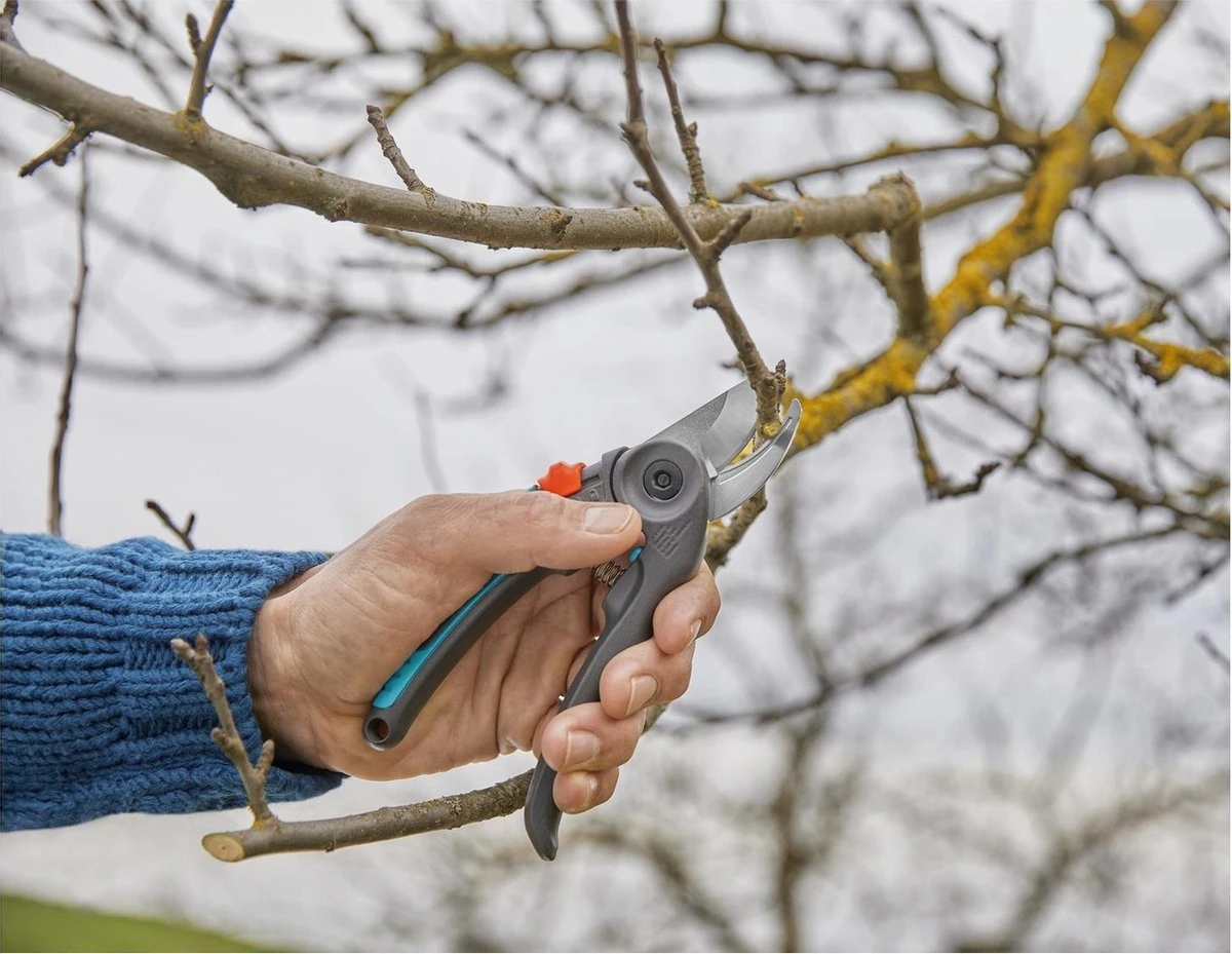 GARDENA - ExpertCut - Snoeischaar - 22 Diameter Tak - Afbeelding 3