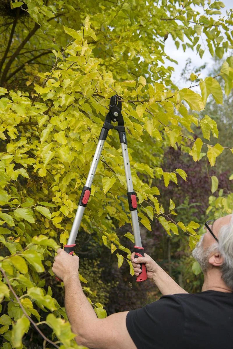 Kreator KRTGR4013 Telescopische Takkenschaar - 63-89 Cm Totale Lengte - . Ø39 Mm Knipdiameter - Afbeelding 4