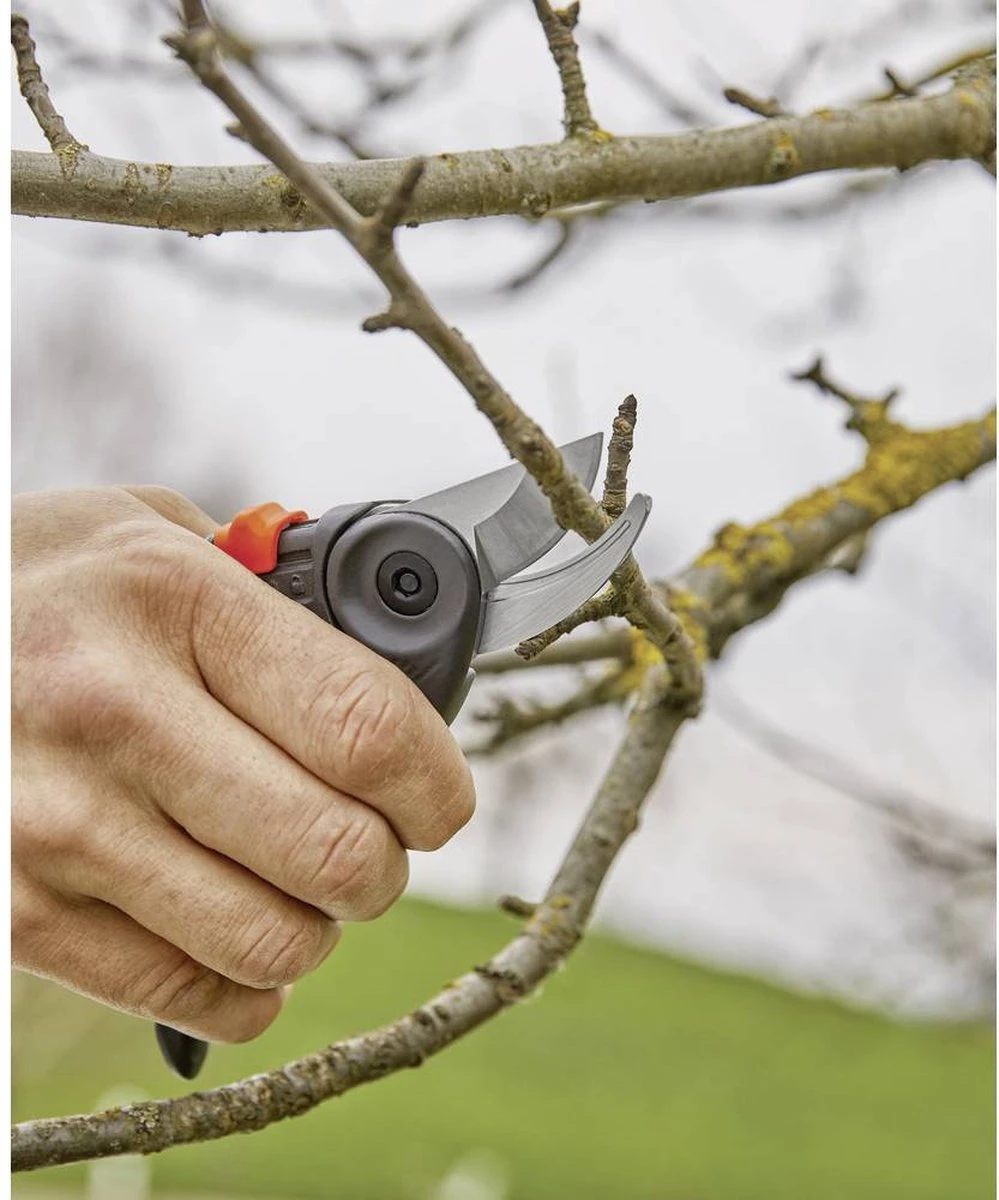 GARDENA - ExpertCut - Snoeischaar - 22 Diameter Tak - Afbeelding 17